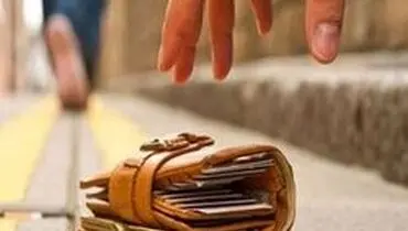 بازگرداندن کیف پول توریست توسط مأمور پلیس
