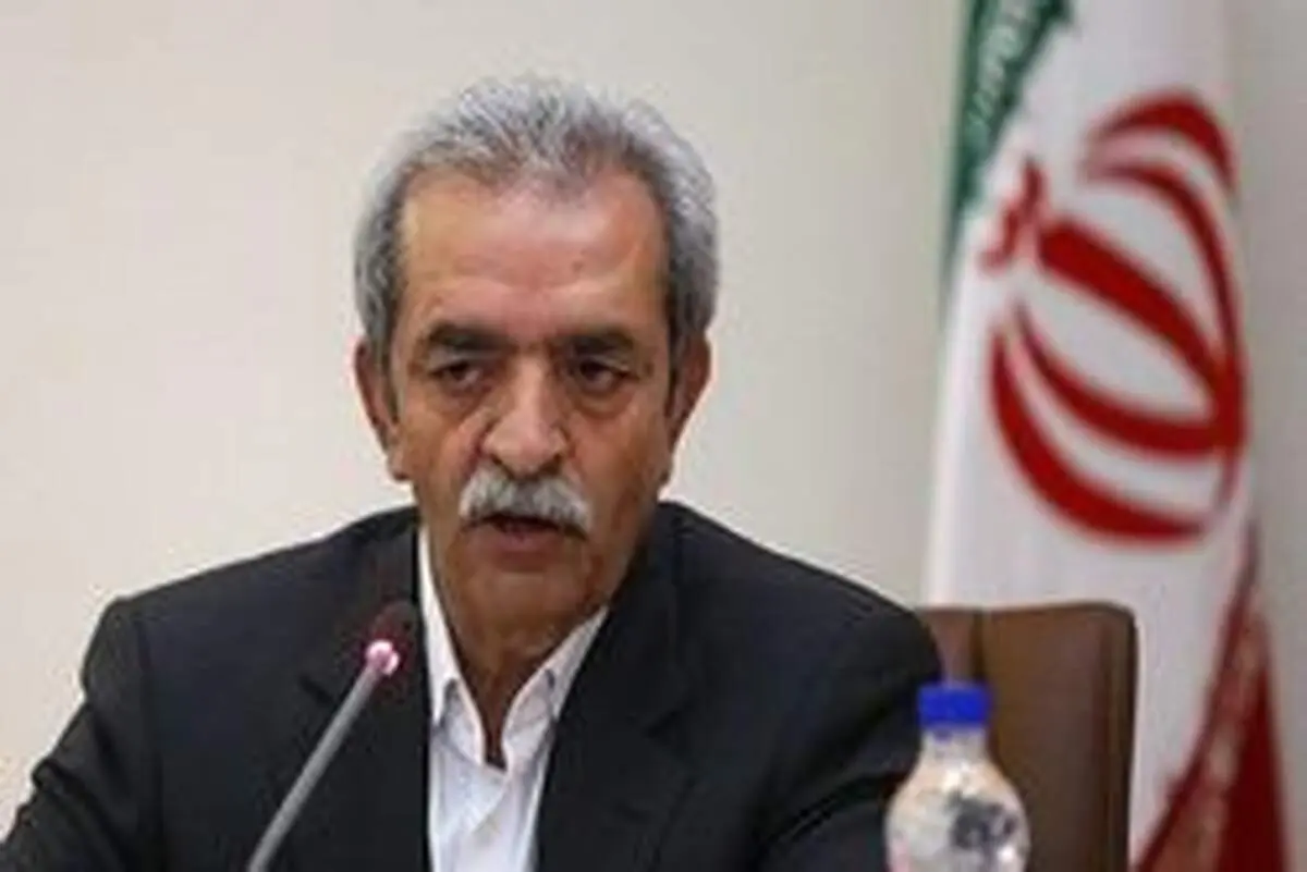 شافعی:عقب‌ماندگی ما در حوزه گردشگری به وضوح مشهود است