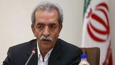 شافعی:عقب‌ماندگی ما در حوزه گردشگری به وضوح مشهود است