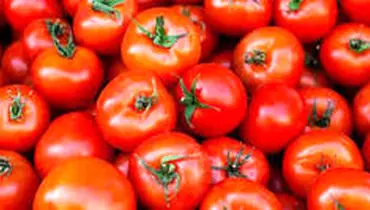 قیمت رب گوجه در بازار تغییری نداشته است