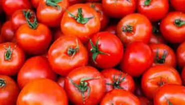 قیمت رب گوجه در بازار تغییری نداشته است