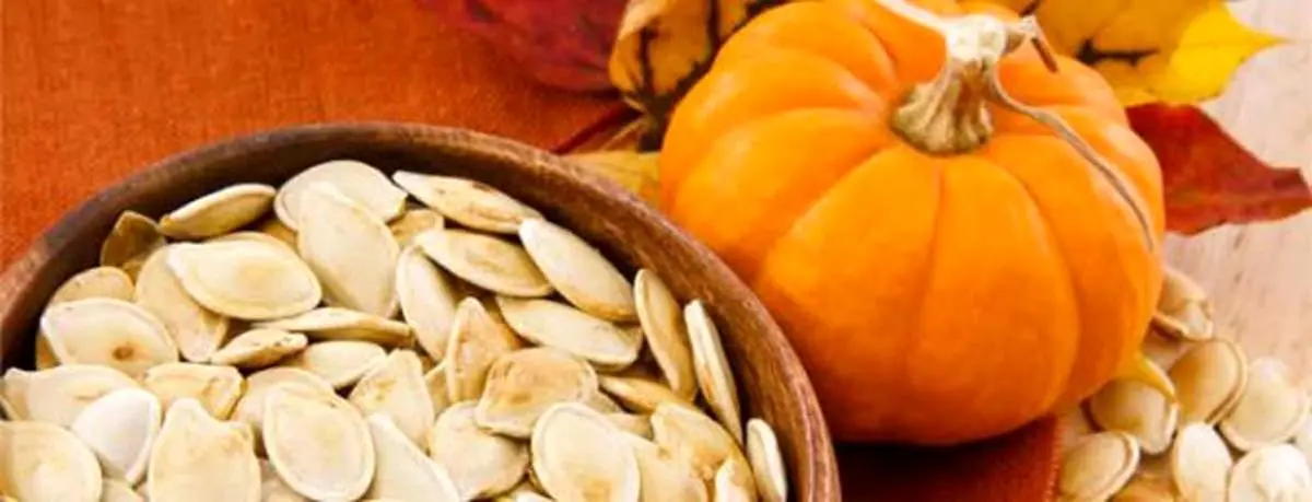 کاربردهای درمانی کدوی تخمه کاغذی