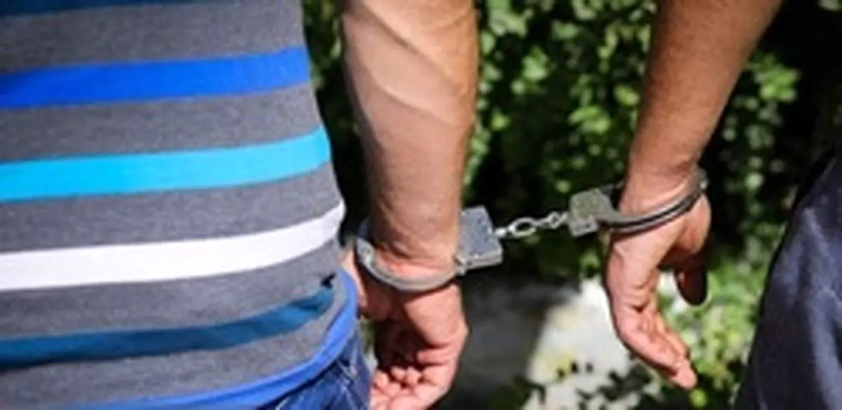 راز سارقان حرفه‌ای در شیراز لو رفت