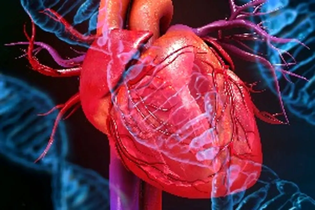 بیماری‌های قلبی، تهدید اصلی سلامت