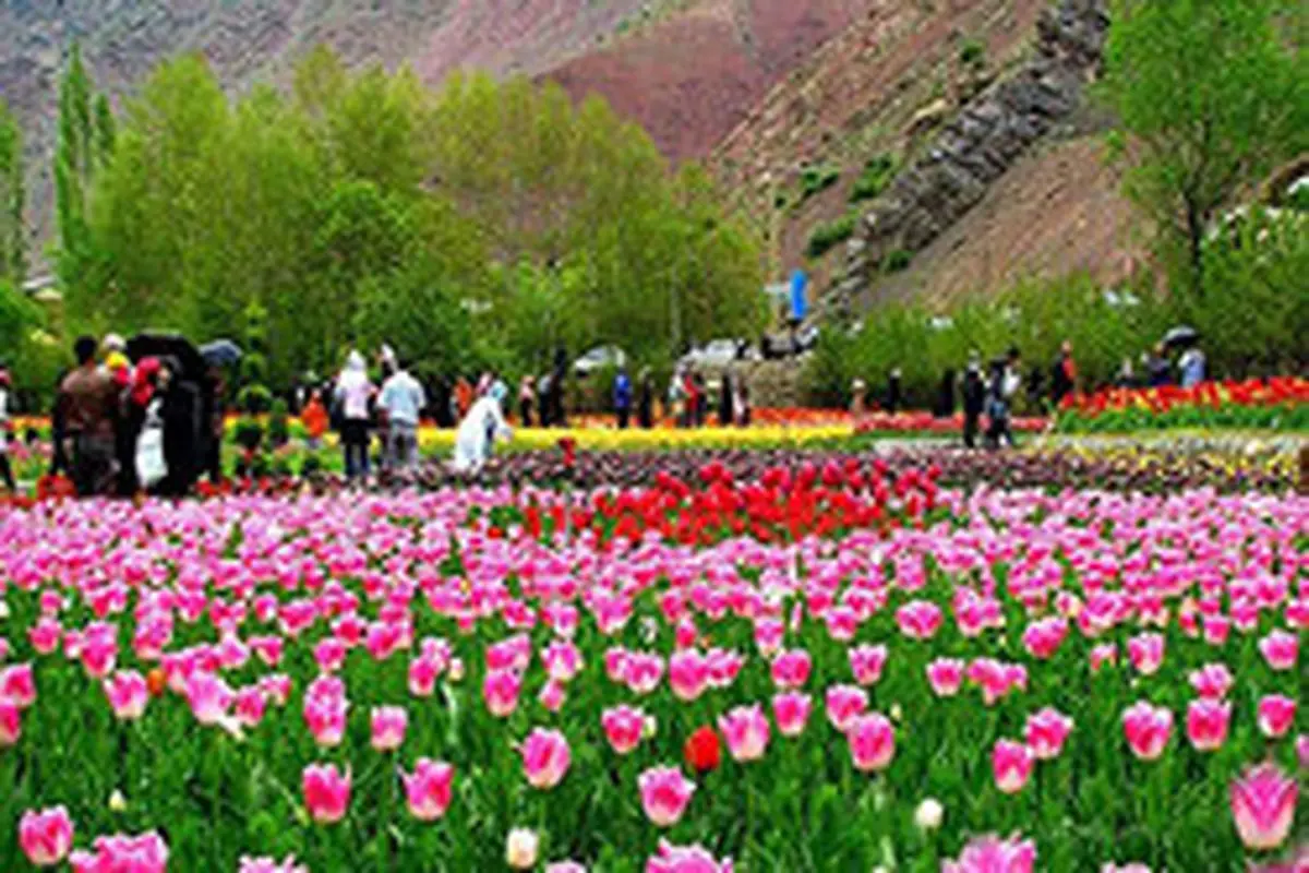 آشنایی با جاذبههای گردشگری شهر زیبای محلات
