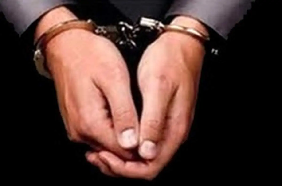 بازداشت مدیر عامل شرکت پشتیبانی امور دام
