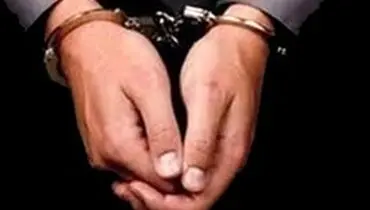 بازداشت مدیر عامل شرکت پشتیبانی امور دام