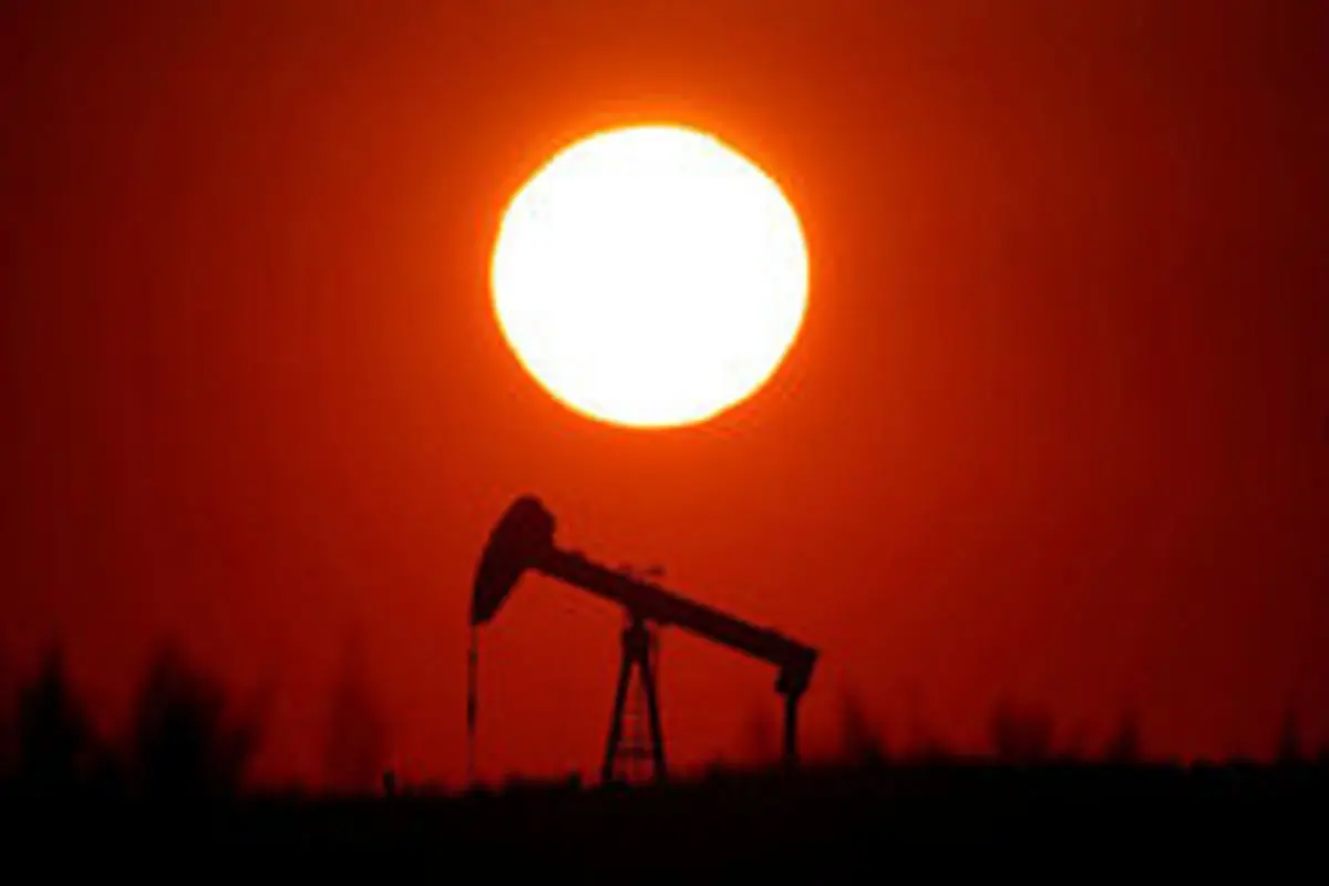 قیمت نفت سقوط کرد