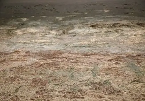 هشدار هواشناسی به این استان‌ها