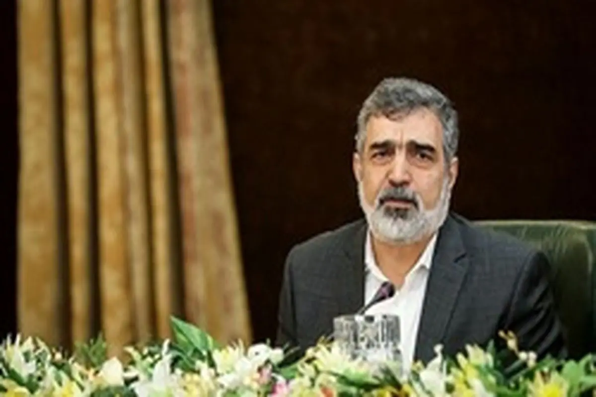 کمالوندی: کاهش تعهدات هسته ای ایران برنامه‌ریزی غربی‌ها را بر هم زده است