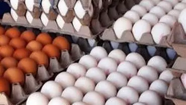 افزایش ۲۰۰ تومانی نرخ تخم‌مرغ در بازار