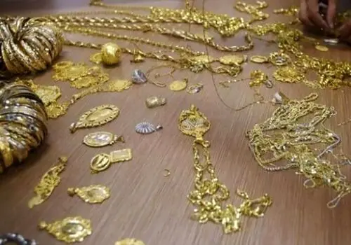 دیده‌شدن گربۀ کاراکال در بردسکن خراسان رضوی+ فیلم

