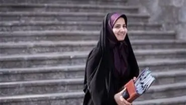 مبنای حقوقی پالرمو را برای رئیس جمهور ارسال کردم