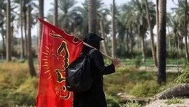 چه تعداد زائر هنوز در عراق هستند؟