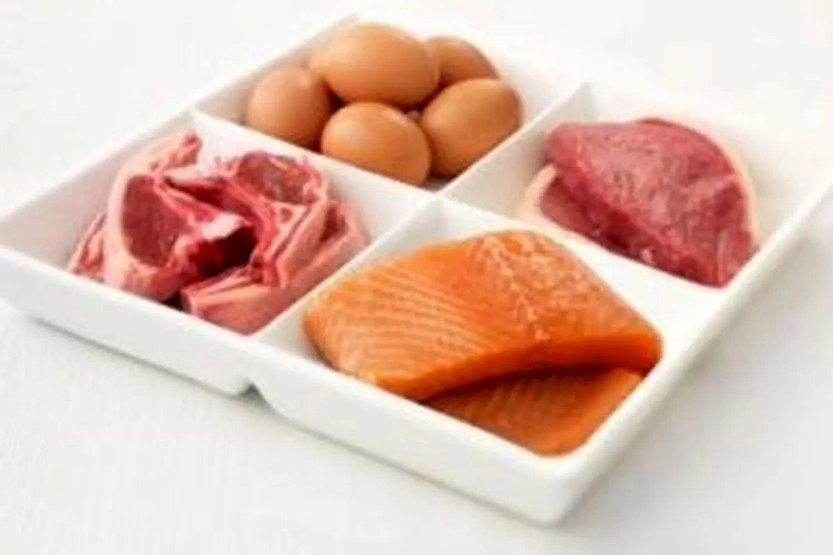 مزایا و معایب رژیم غذایی پر پروتئین