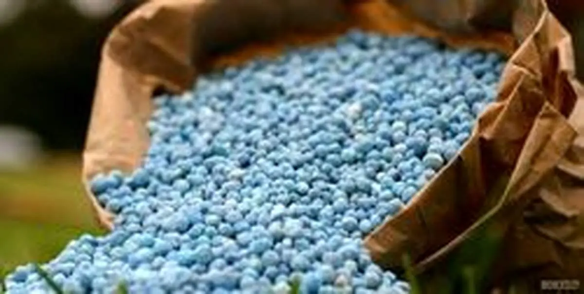 واردکننده بزرگ، نهاد ناظر بر واردات شد +فیلم