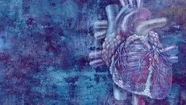 رابطه ضربان قلب و تصادف مشخص شد
