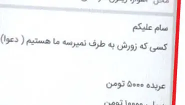 پول درآوردن با کاسبی‌های عجیب و غریب/ از «فالتون» تا «مغز خالی کن»