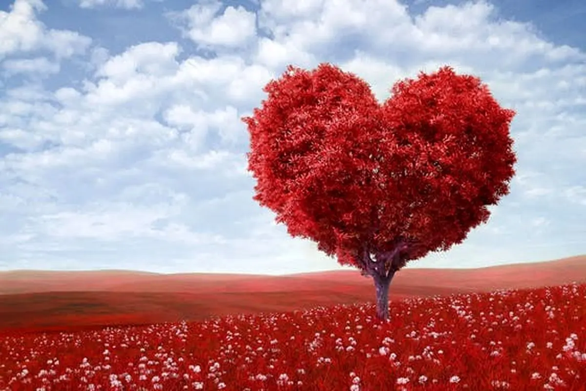 یکی از ابزارهای مهم درمان روحی را بشناسید