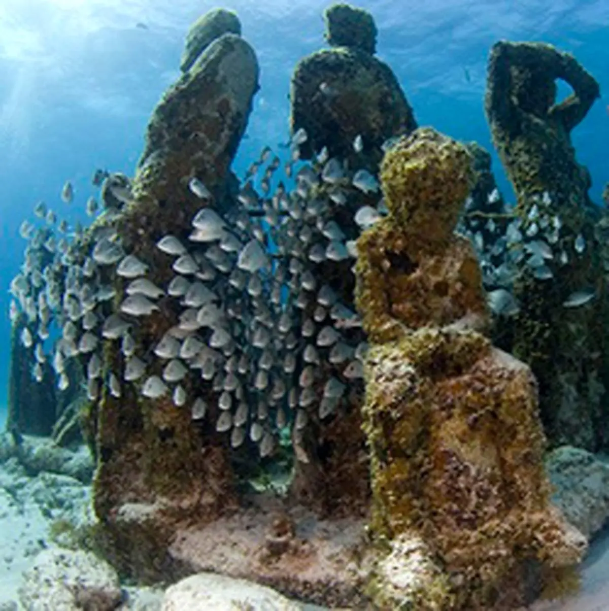 عجیب‌ترین و دیدنی‌ترین موزه هنر جهان + عکس