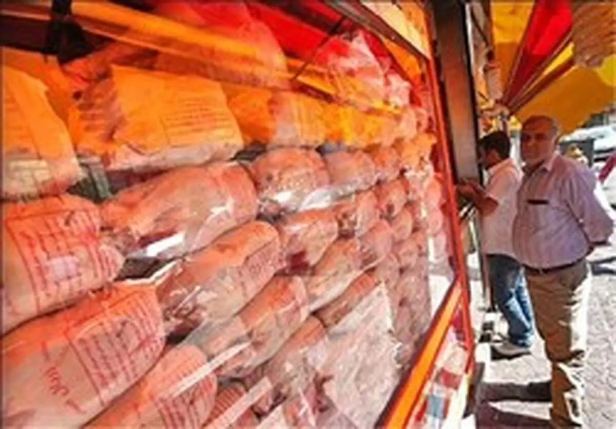 اُفت ۵۰۰ تومانی نرخ مرغ در بازار/قیمت هر کیلو مرغ به ۱۳ هزار تومان رسید