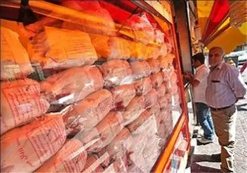 قیمت جدید گوشت مرغ امروز ۲۷ بهمن ۱۴۰۴+جدول 