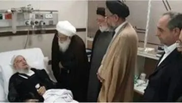 عیادت وزیر اطلاعات از آْیت الله مکارم شیرازی