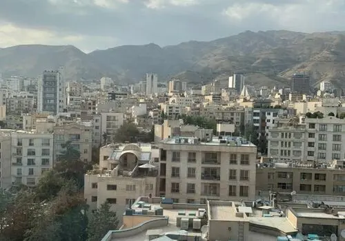 علت اصلی جهش شدید قیمت گوشت گوساله فاش شد

