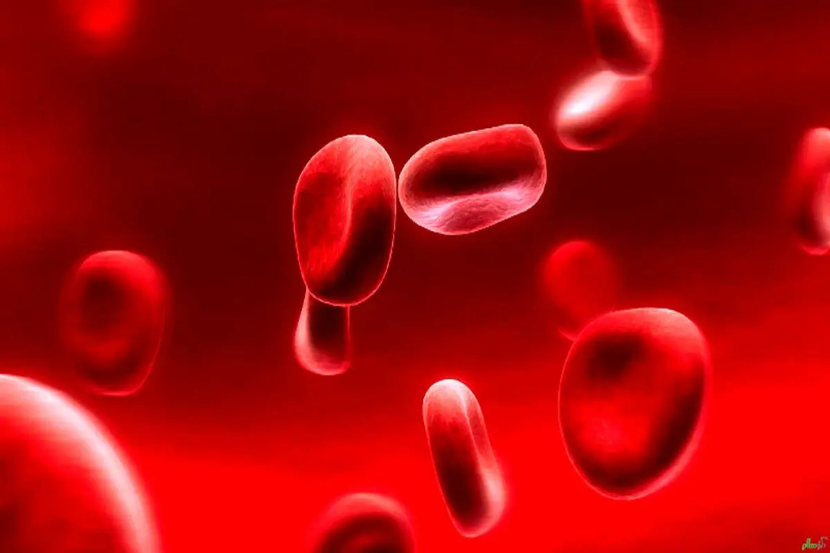 عواملی که باعث ایجاد کم خونی در بدن می‌شوند