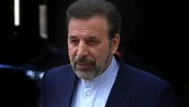 پاسخ واعظی به یک ادعا درباره پرونده روح‌الله زم