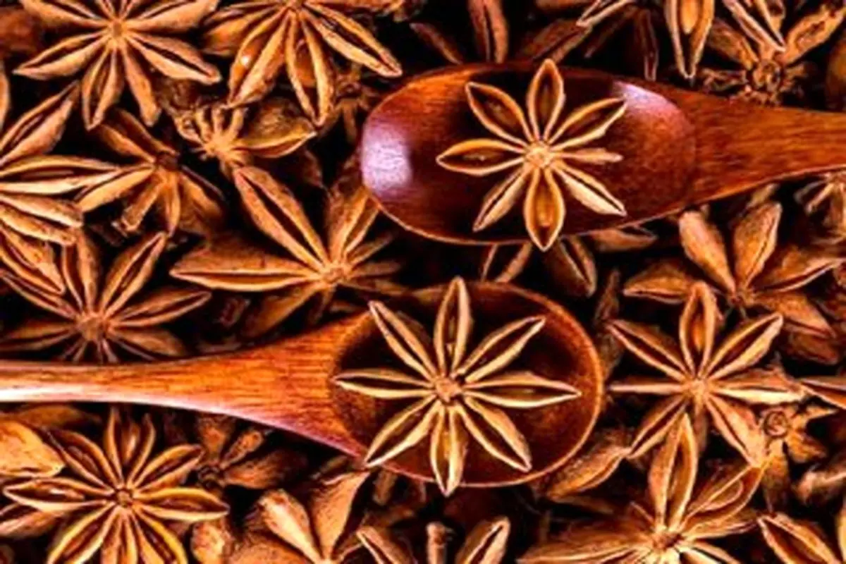 با خواص شگفت انگیز بادیان ختایی (انسولین ستارهای) آشنا شوید