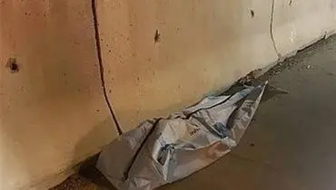 تهران| تصادف مرگبار تویوتا کمری در جاده کرج + عکس