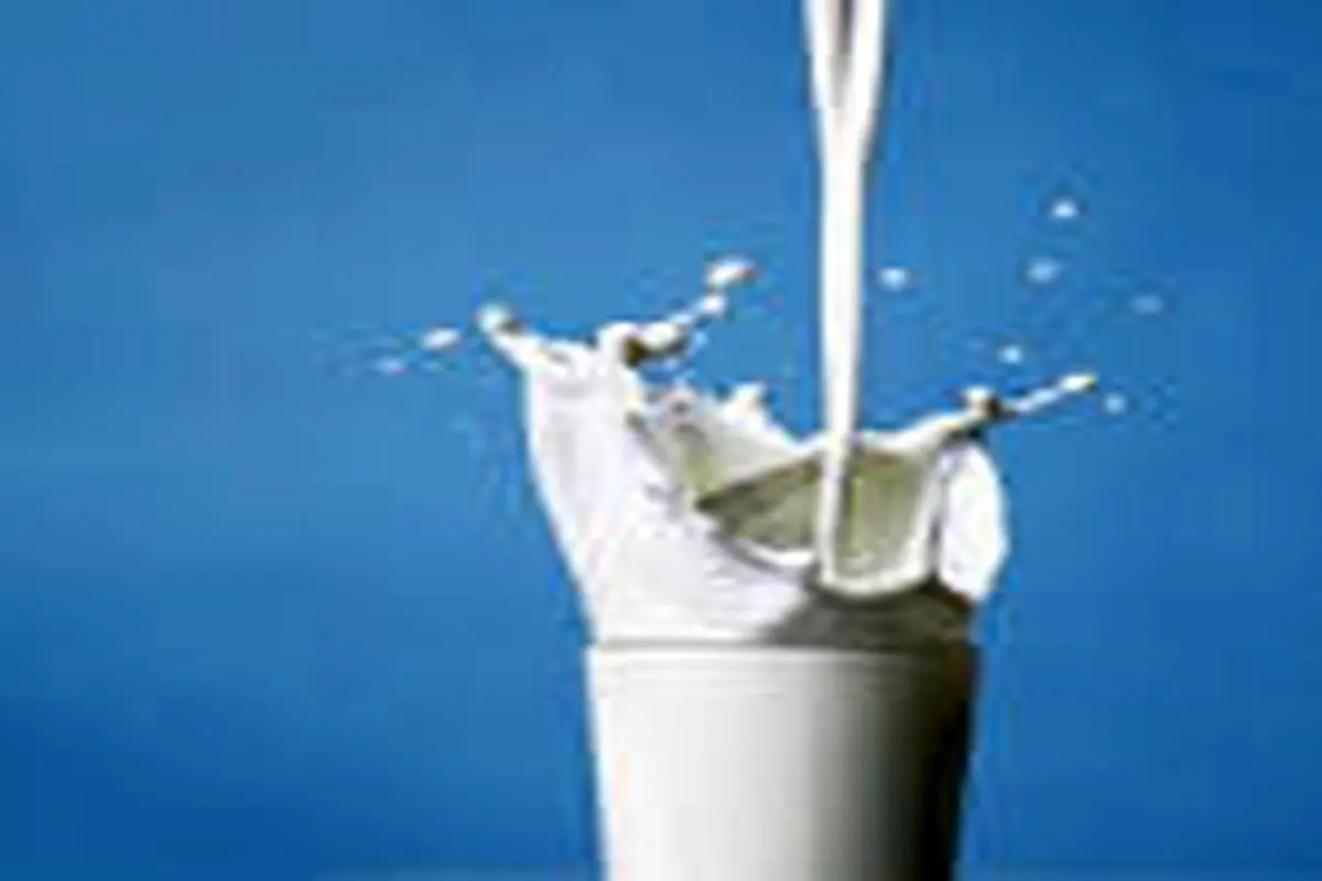 رابطه‌ی شیر با لاغری چیست؟