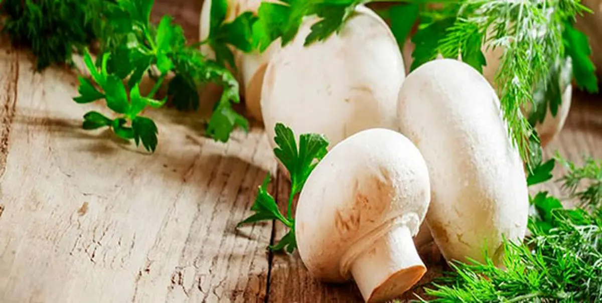 پیش‌گیری از سرطان پروستات با مصرف قارچ