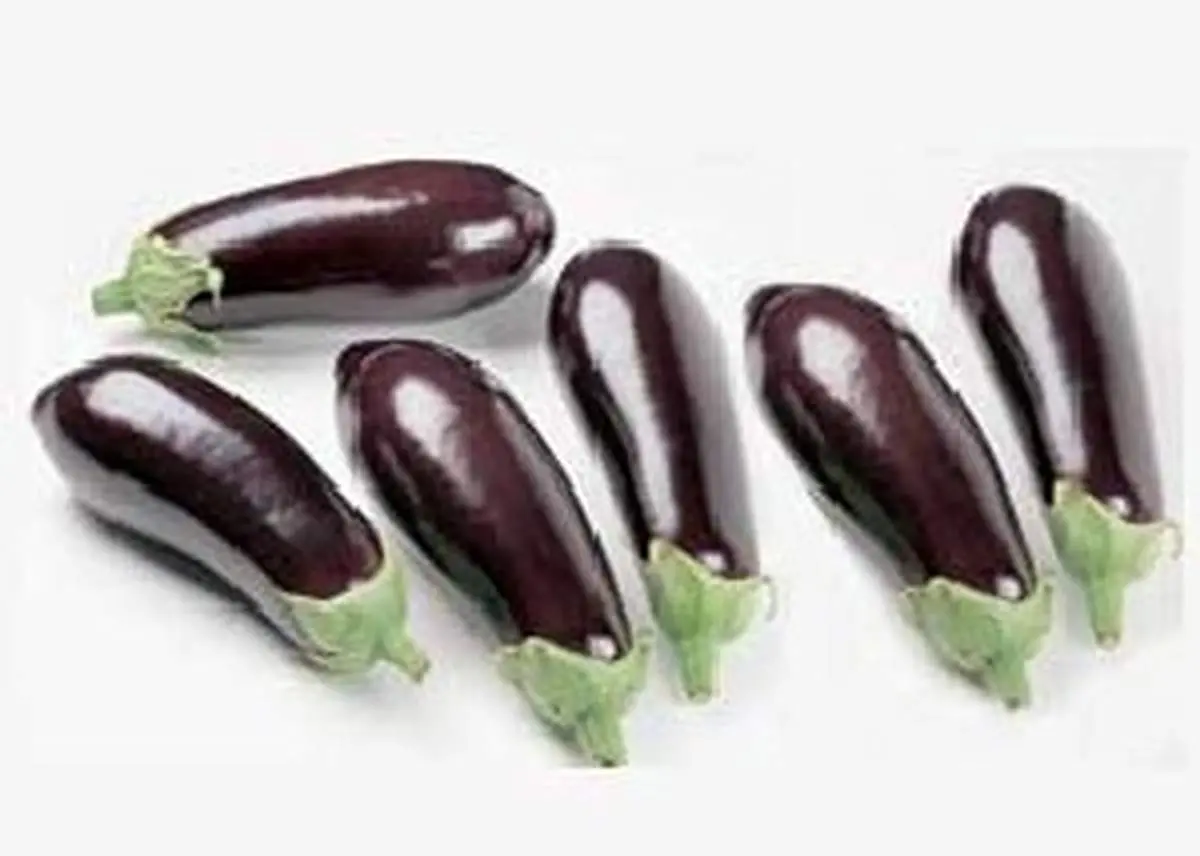 بادمجان را سرخ و فریزر نکنید