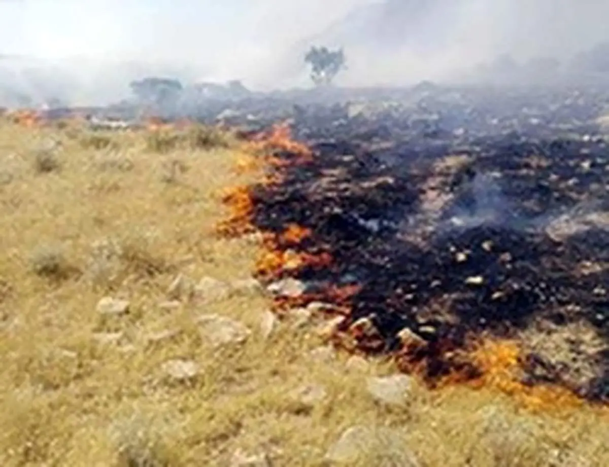مهار آتش سوزی در تالاب بین‌المللی هامون