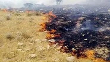 مهار آتش سوزی در تالاب بین‌المللی هامون