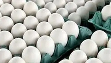 افزایش ۱۲۰۰تومانی قیمت تخم مرغ