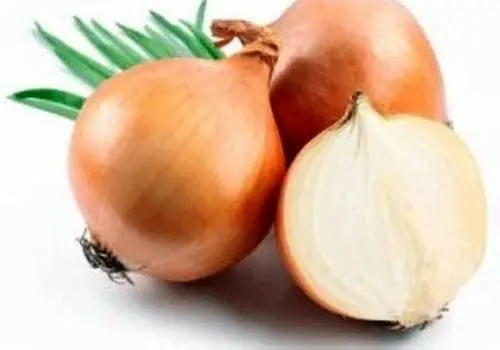 مقایسه خواص پیاز قرمز و سفید؛ کدام انتخاب سالم‌تری است؟