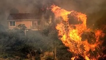 بحران آتش‌سوزی جنگل‌های کالیفرنیا/ میلیون‌ها نفر با خطر قطع برق مواجه هستند
