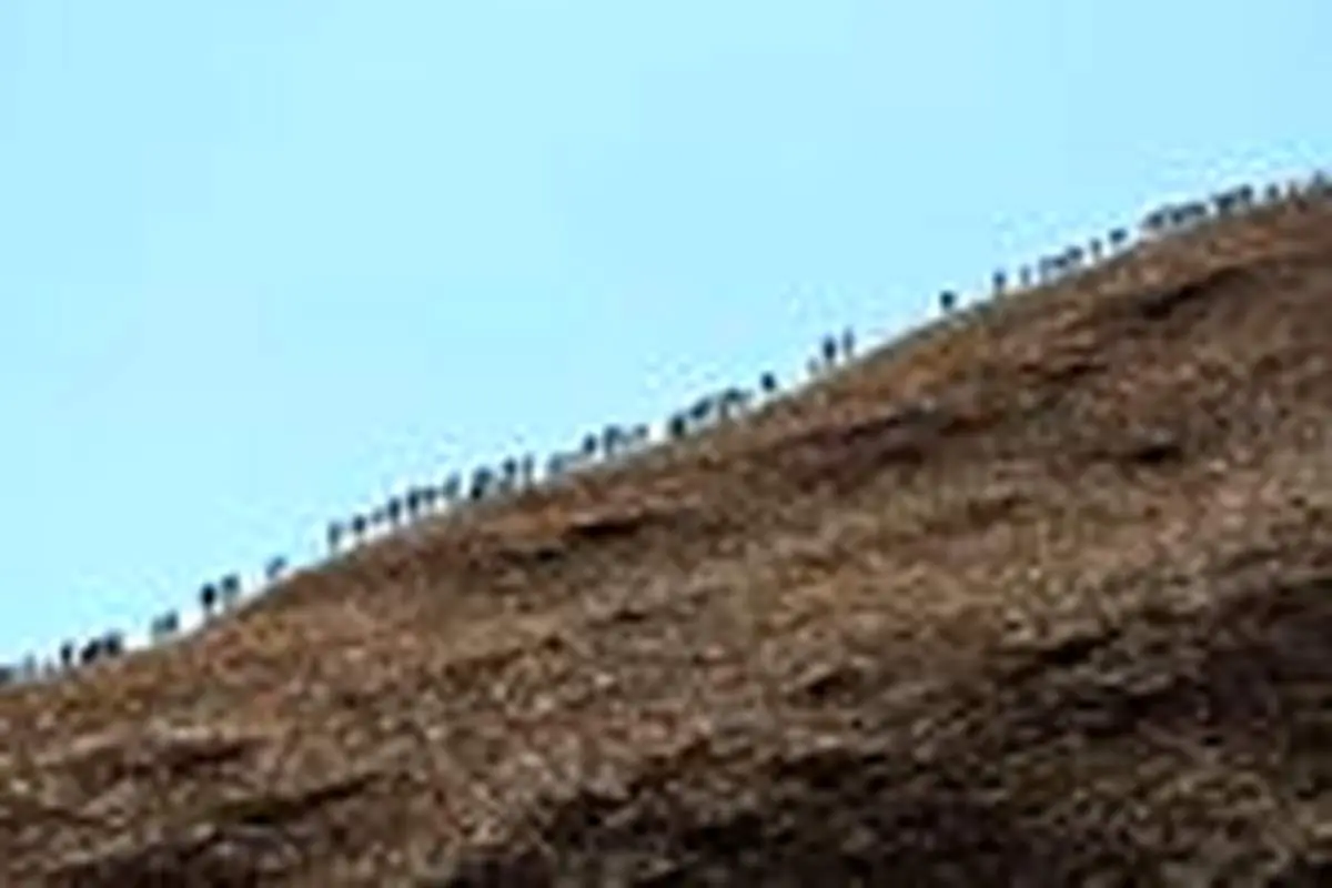 هجوم توریستها به کوه مقدس استرالیا