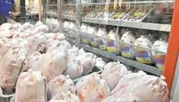 حجت: ازدیاد تقاضا دلیل افزایش قیمت مرغ است
