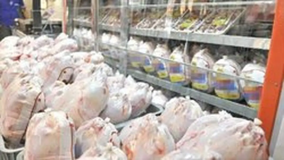 حجت: ازدیاد تقاضا دلیل افزایش قیمت مرغ است