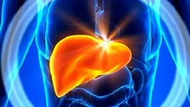 چگونه از شر کبد چرب خلاص شویم؟
