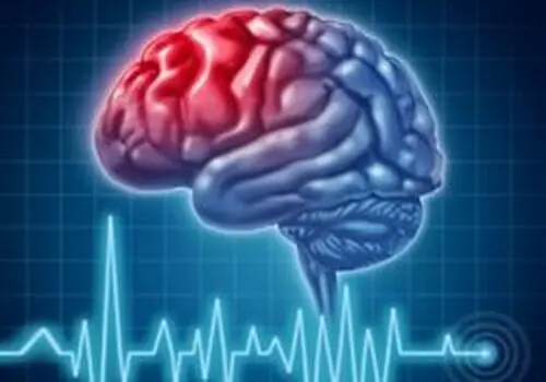 آب زرشک، اکسیر طبیعی برای سلامت و پاکسازی کبد
