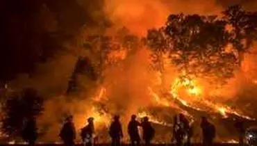 رویترز: تیرهای قدیمی و فرسوده برق یکی از علل گسترش آتش‌سوزی در کالیفرنیاست