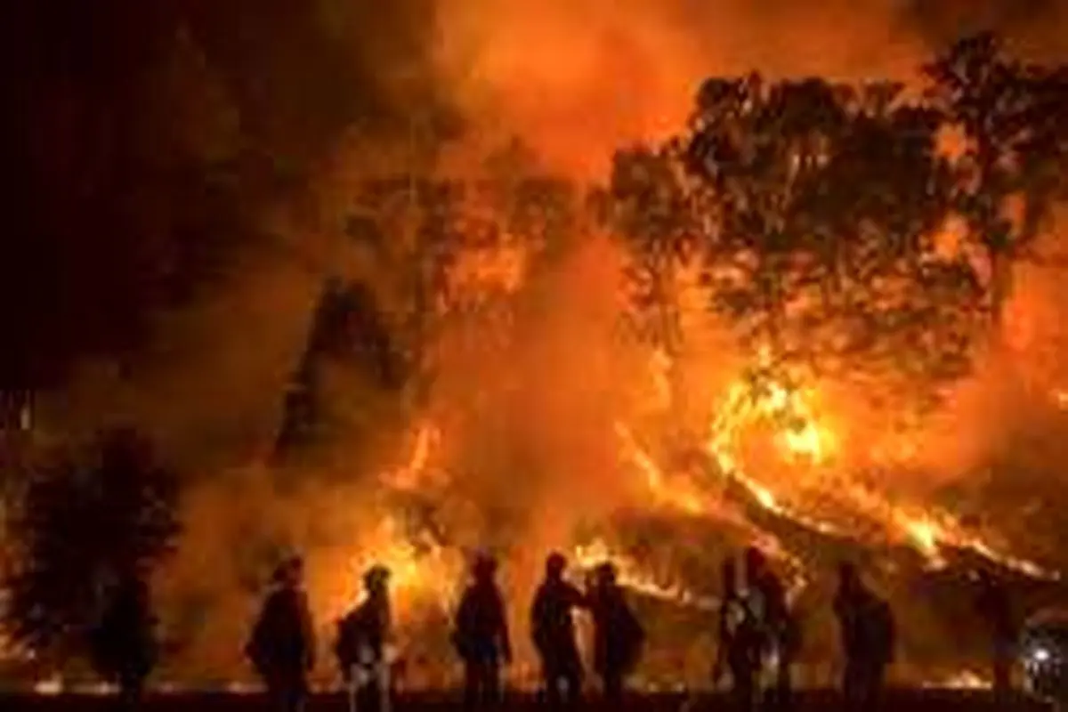 رویترز: تیرهای قدیمی و فرسوده برق یکی از علل گسترش آتش‌سوزی در کالیفرنیاست