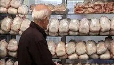 قیمت فعلی مرغ ۶۰۰ تومان بالاتر از نرخ مصوب