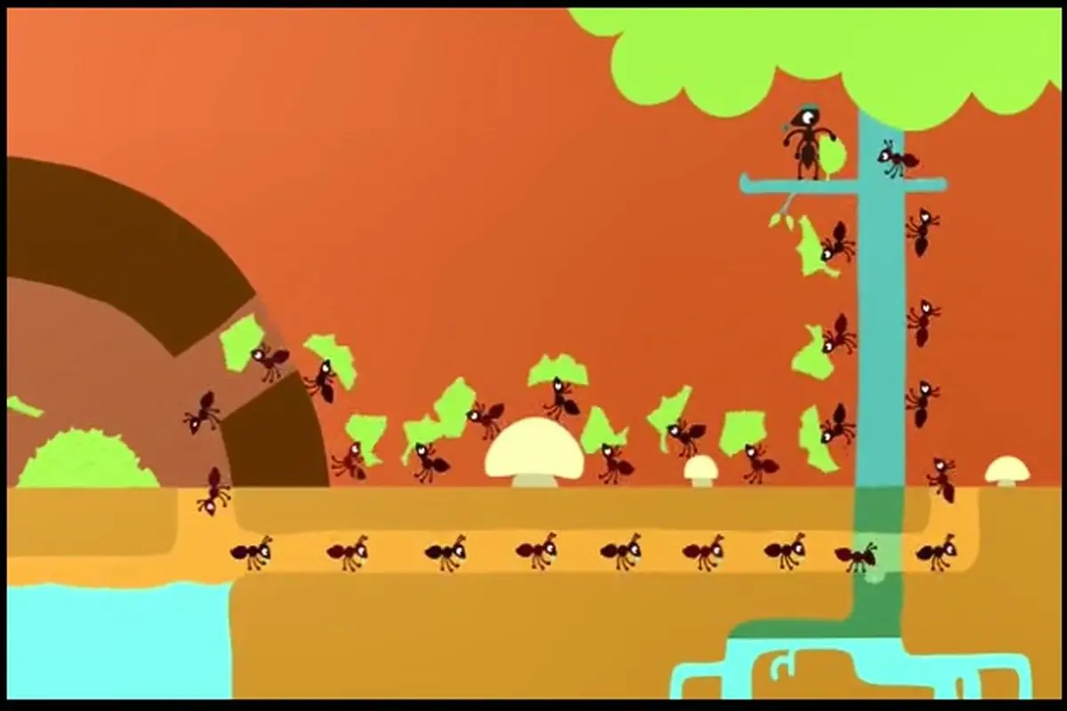 ویدیو/انیمیشن کوتاه مورچه
