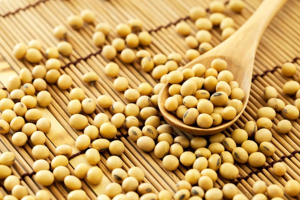 آیا از خواص بی نظیر آجیل سویا با خبر هستید؟